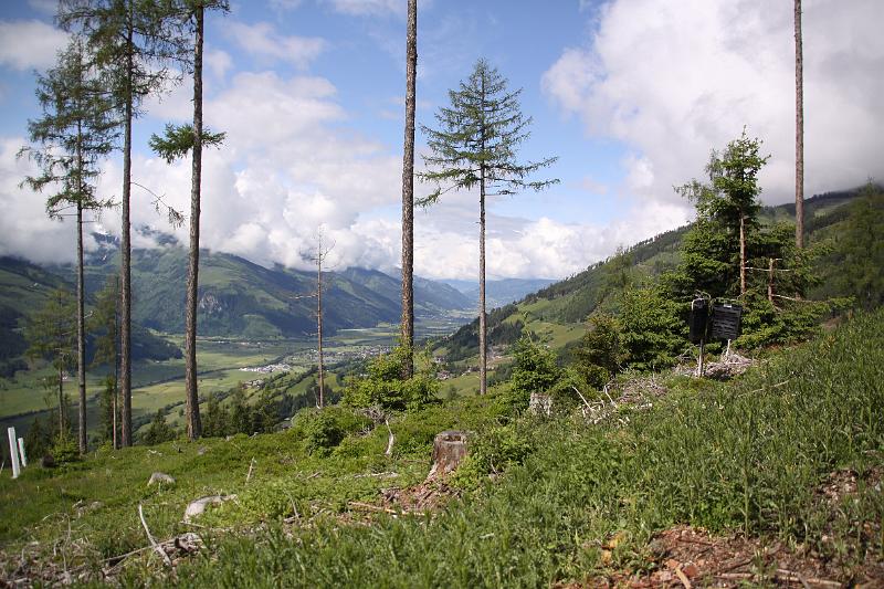 AUS31052009 (34).jpg